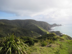 Cape Reinga-044
